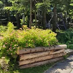 Hébergement de vacances Pietraszyna Koniaków