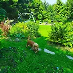 Hébergement de vacances Pietraszyna *