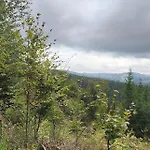 Pietraszyna