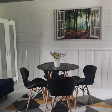 Pietraszyna Holiday home *