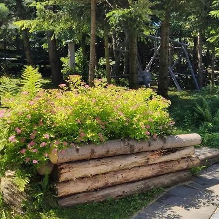 Hébergement de vacances Pietraszyna Koniaków