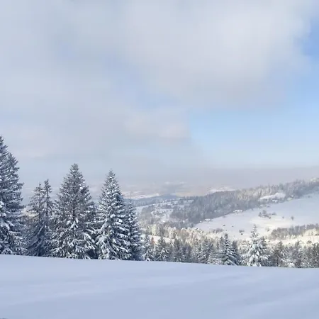 Hébergement de vacances Pietraszyna *