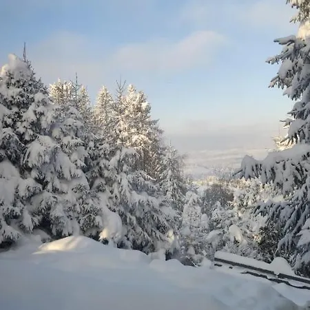 Hébergement de vacances Pietraszyna Koniaków