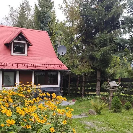 Pietraszyna Holiday home Koniakow