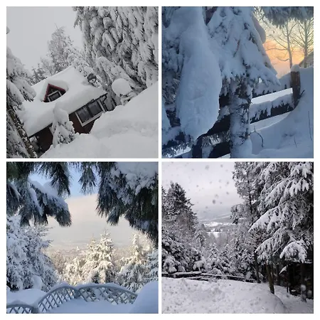 Pietraszyna Σπίτι διακοπών