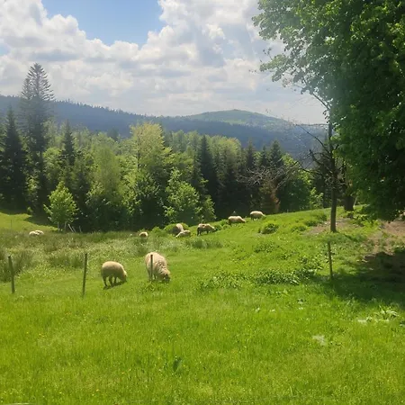 Pietraszyna Koniaków