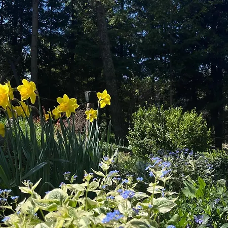 Σπίτι διακοπών Pietraszyna Koniaków