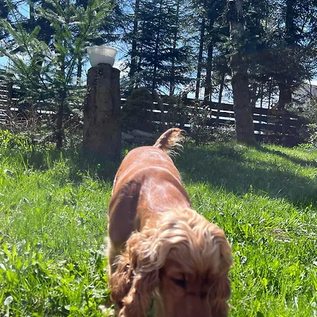 Pietraszyna Σπίτι διακοπών