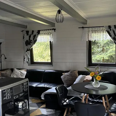 Pietraszyna Holiday home *