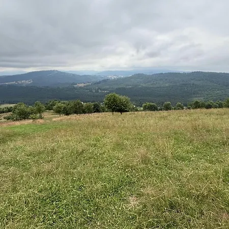 Hébergement de vacances Pietraszyna