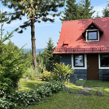 Pietraszyna Holiday home *