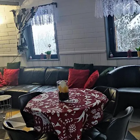 Pietraszyna Hébergement de vacances