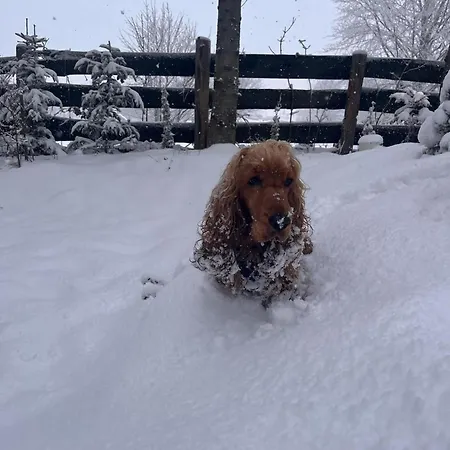 Σπίτι διακοπών Pietraszyna