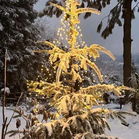 Pietraszyna Σπίτι διακοπών *