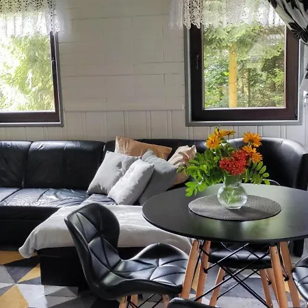 Feriehus Pietraszyna *