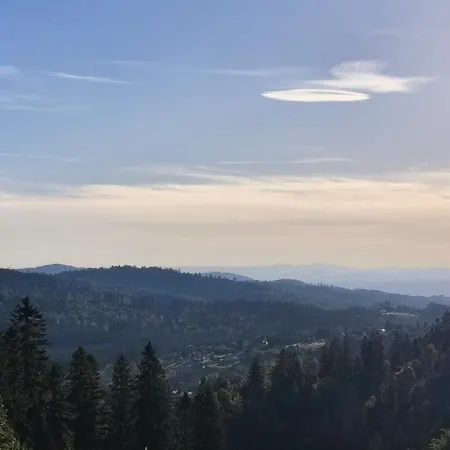 Pietraszyna Σπίτι διακοπών *