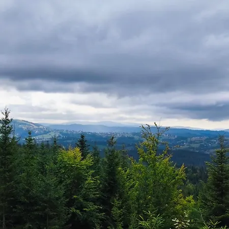 Pietraszyna Hébergement de vacances *