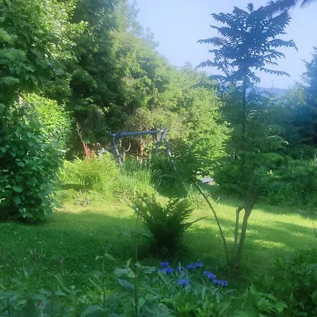 Pietraszyna Hébergement de vacances *