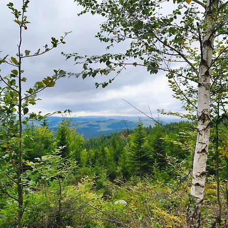 Σπίτι διακοπών Pietraszyna