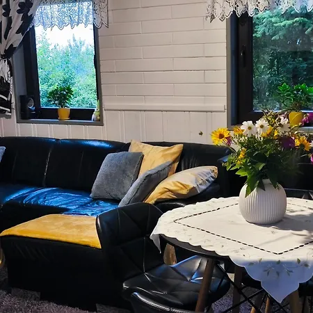 Pietraszyna Hébergement de vacances