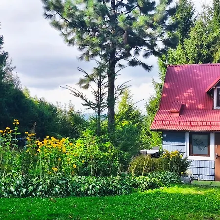 Pietraszyna Koniaków