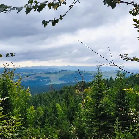 Hébergement de vacances Pietraszyna *