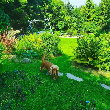 Σπίτι διακοπών Pietraszyna *