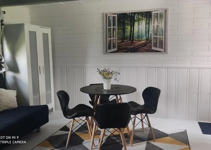 Pietraszyna בית נופש *