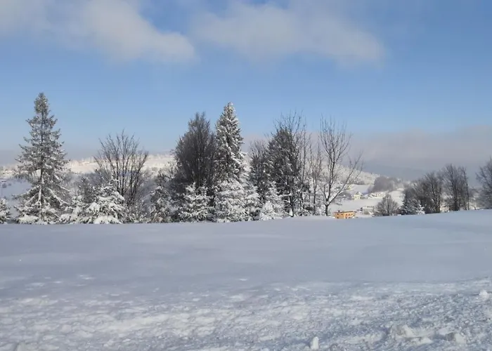 Pietraszyna * Koniaków