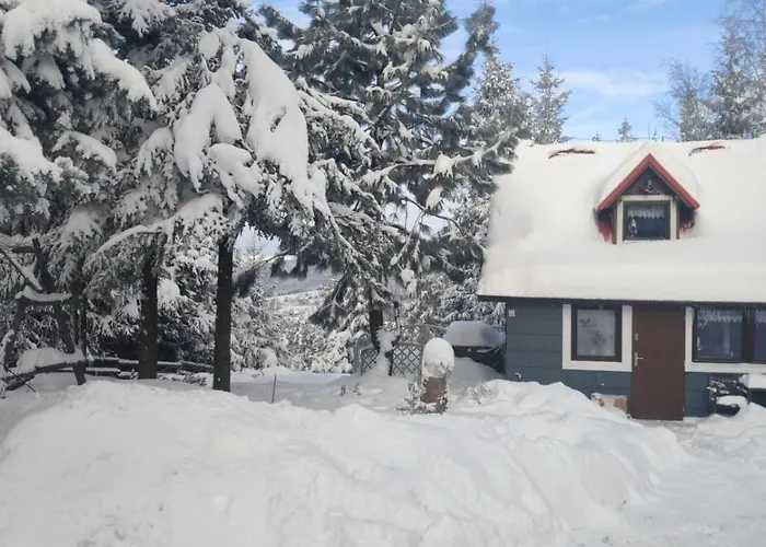 Pietraszyna בית נופש