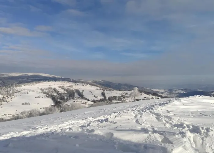 Дом отдыха Pietraszyna Конякув