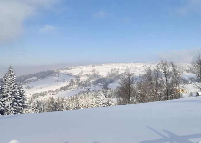 Pietraszyna בית נופש Koniaków