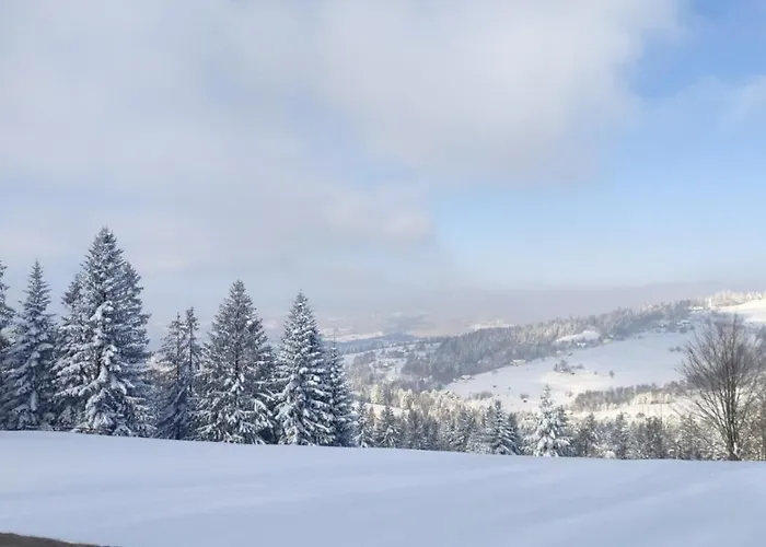 Дом отдыха Pietraszyna *