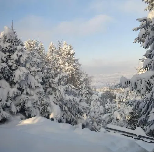 בית נופש Pietraszyna Koniaków