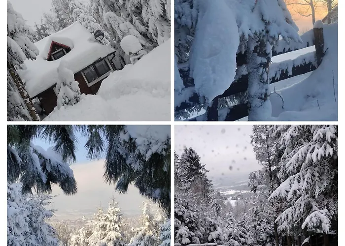 Pietraszyna בית נופש