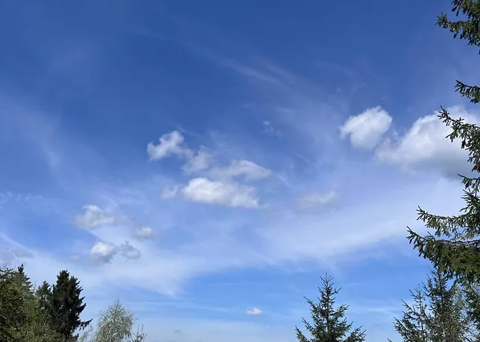 Pietraszyna בית נופש