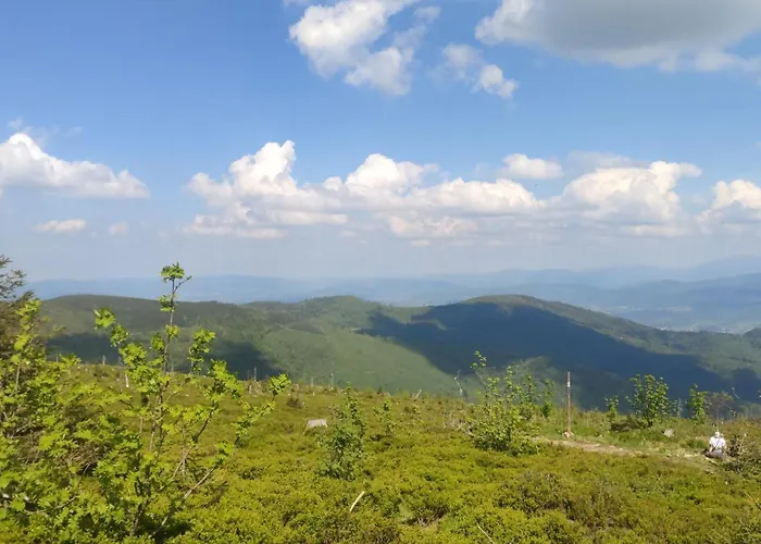 בית נופש Pietraszyna Koniaków