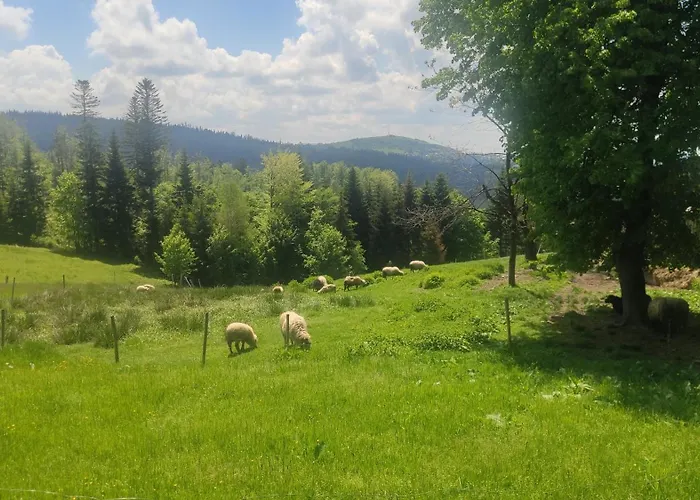 Pietraszyna Koniaków