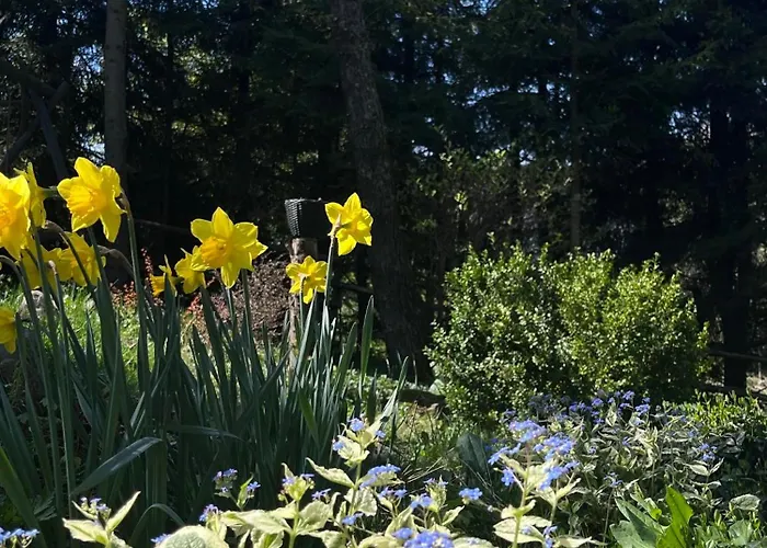 בית נופש Pietraszyna Koniaków