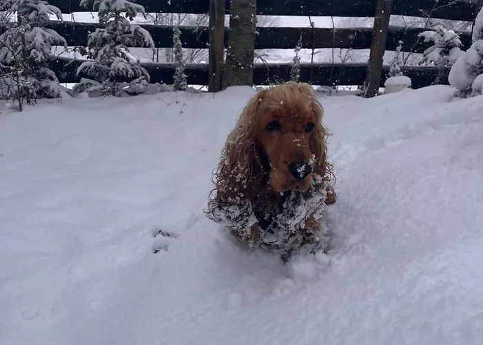 בית נופש Pietraszyna