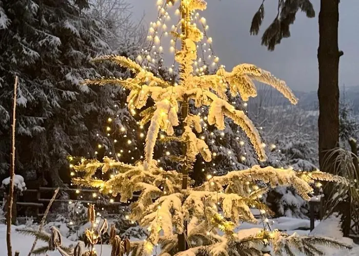 Pietraszyna בית נופש *