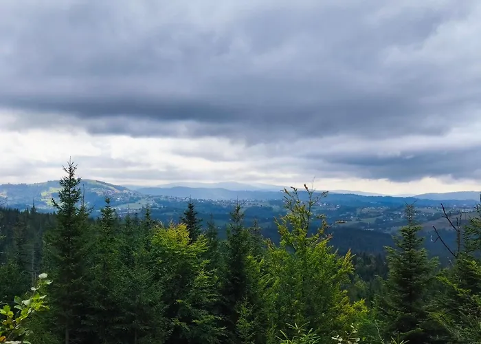 Pietraszyna בית נופש *