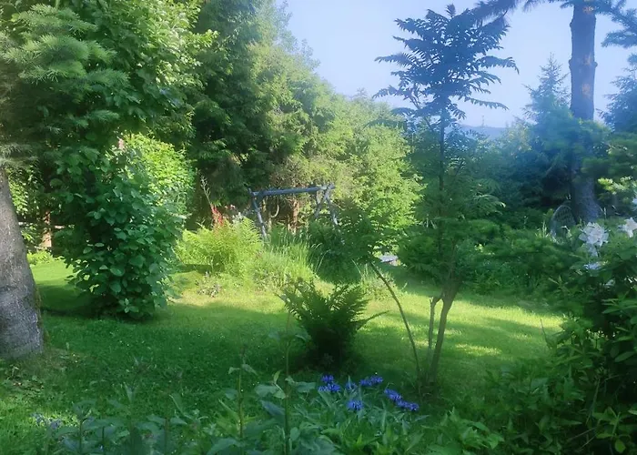 Pietraszyna בית נופש *