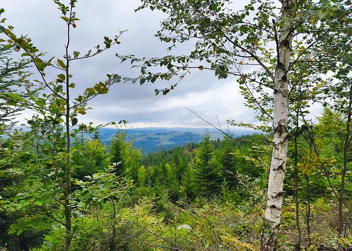 בית נופש Pietraszyna