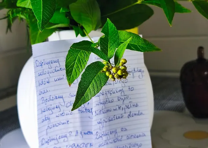 Pietraszyna בית נופש *