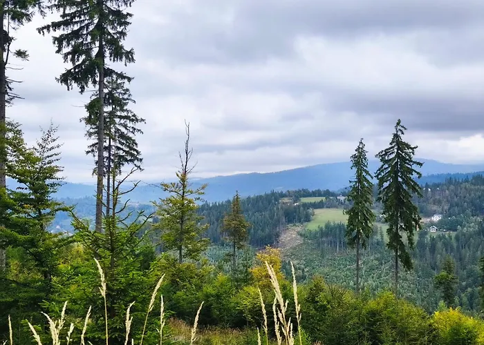 Pietraszyna * Koniaków