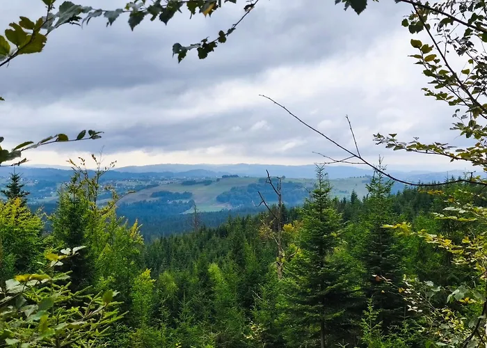 בית נופש Pietraszyna *